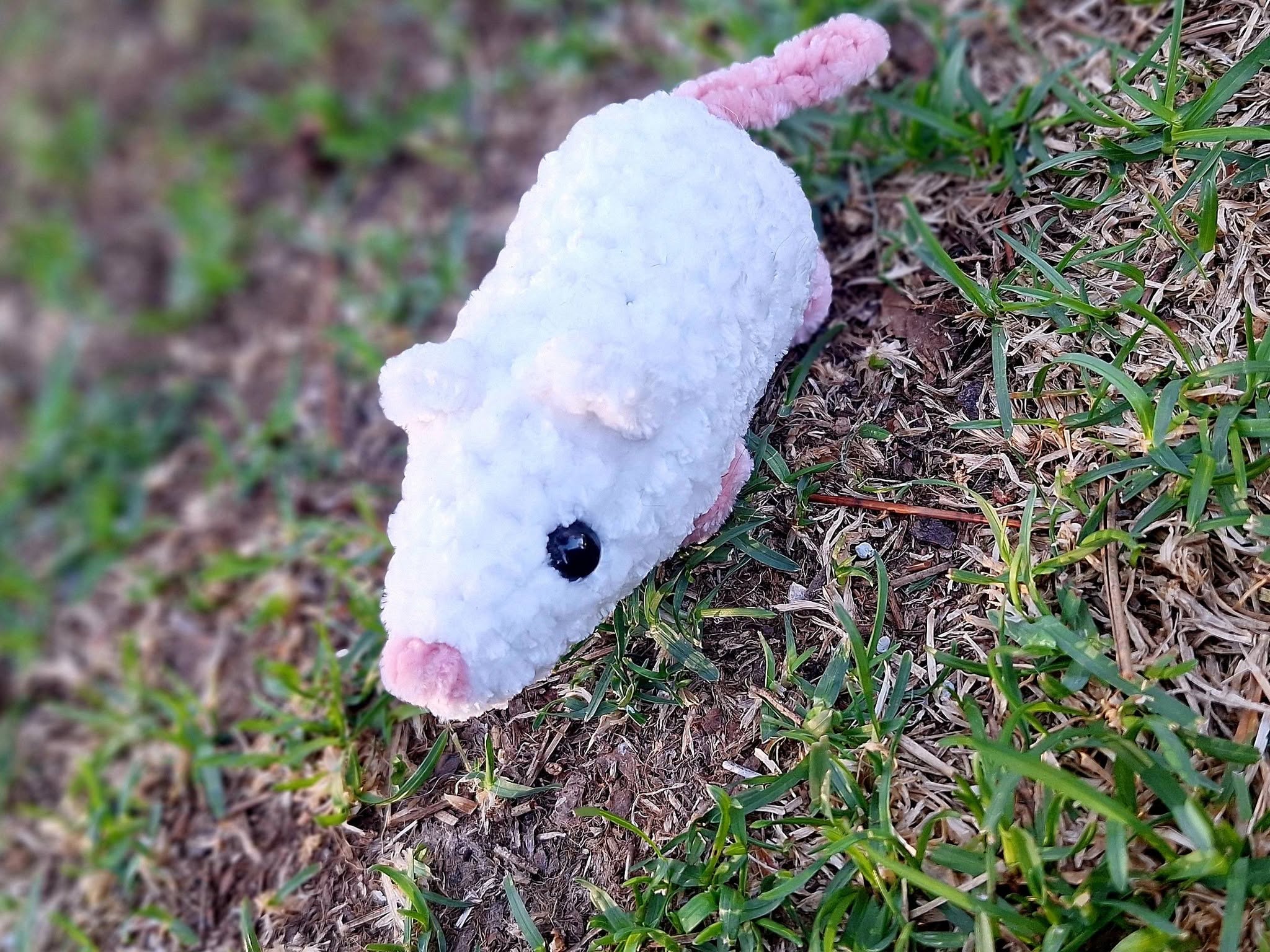 Mouse